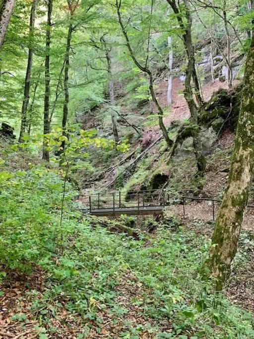 Ferienwohnung Albliebe Messstetten Экстерьер фото