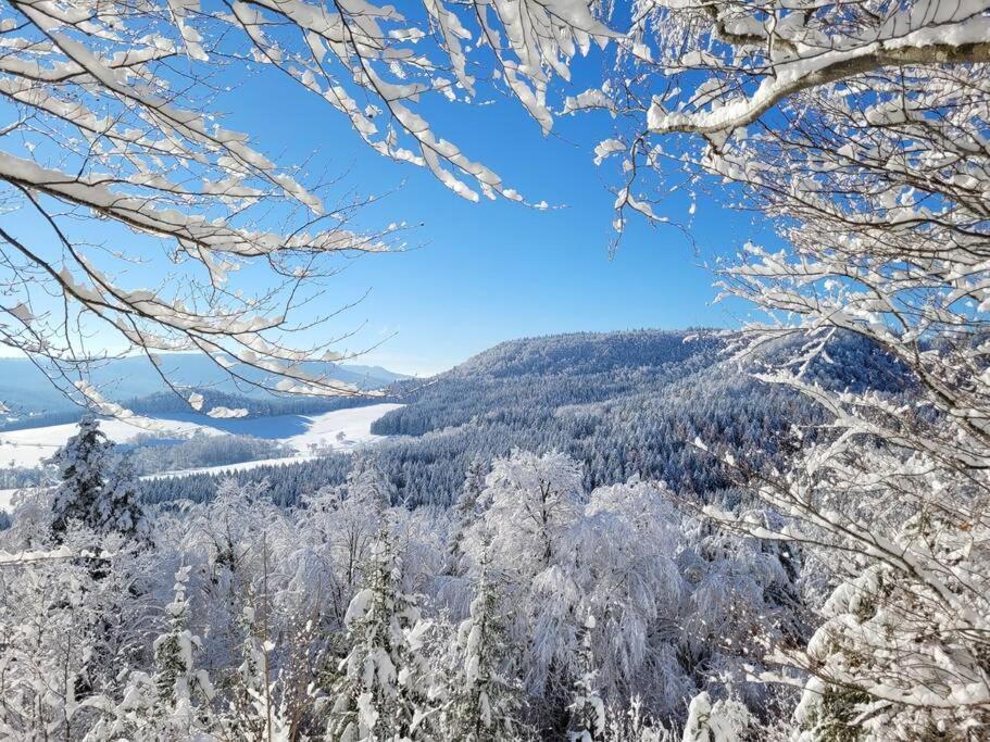 Ferienwohnung Albliebe Messstetten Экстерьер фото