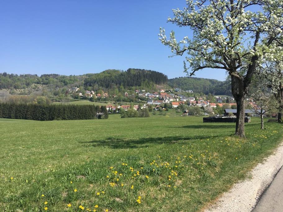 Ferienwohnung Albliebe Messstetten Экстерьер фото